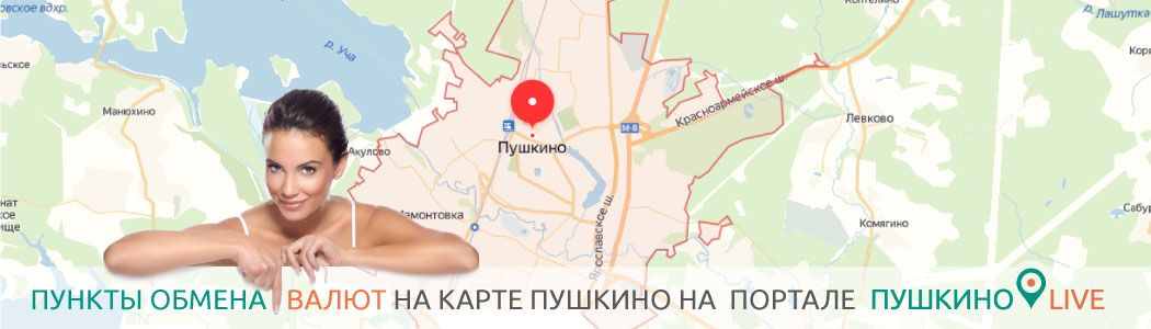Портал (сайт) города Пушкино Московской области