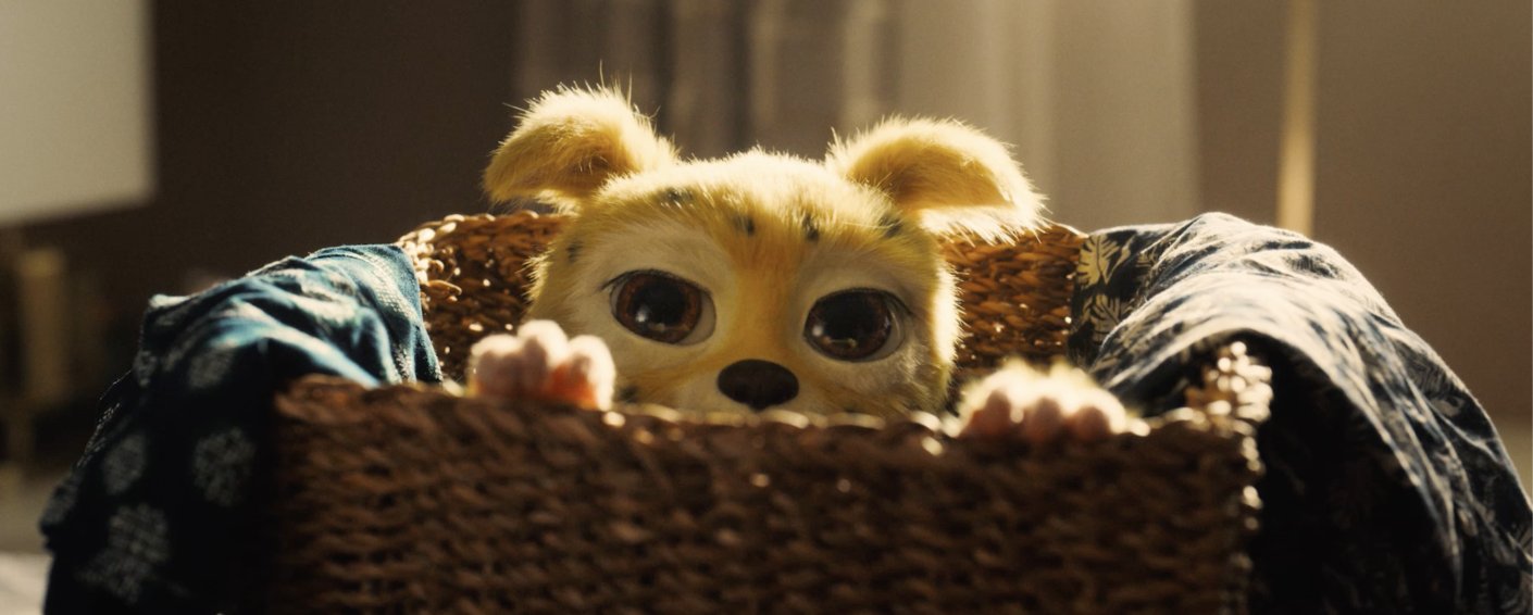 Марсупилами. Пушистый круиз