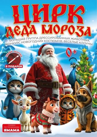 Цирк Деда Мороза