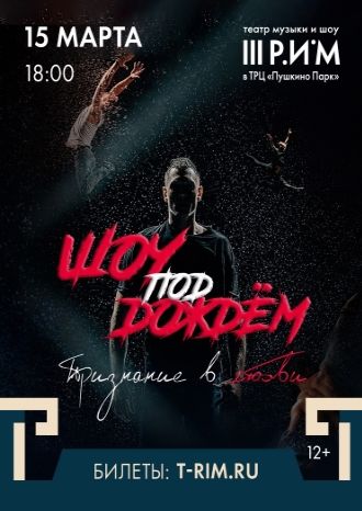 Шоу под дождем «Признание в любви»