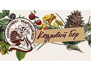 Кедровый бор логотип. Кедровый бор сургут дачи. Сот кедр сургут. Сосновый бор сургут. Реполовский кедровый бор.