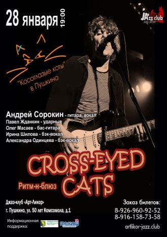 Андрей Сорокин и Cross-Eyed Cats