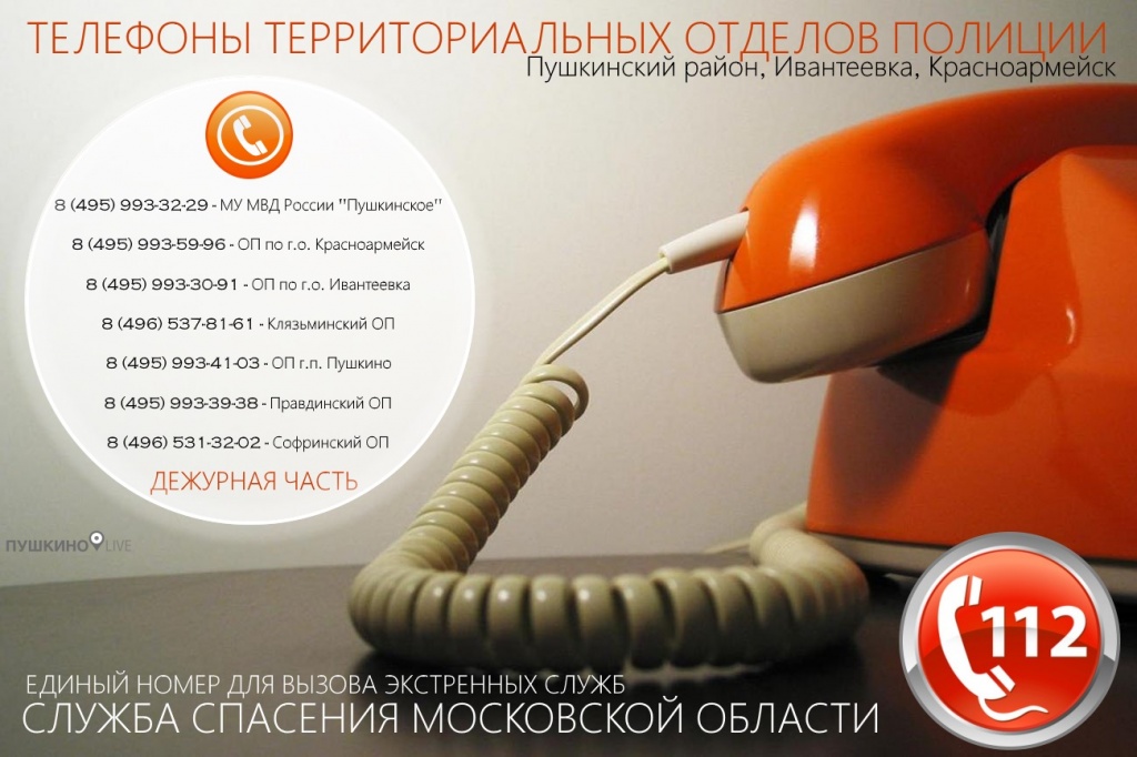 Телефоны территориальных отделов полиции Пушкино, Ивантеевка, Красноармейск