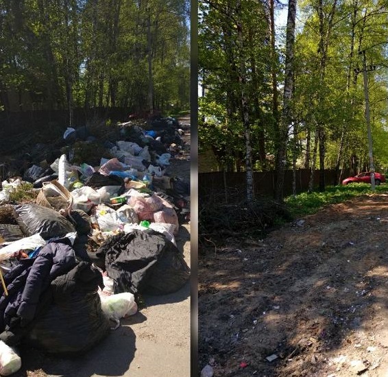 До и после приезда уборочной техники в Пушкино