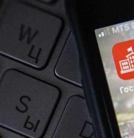 Новая соцуслуга появилась на регпортале Подмосковья