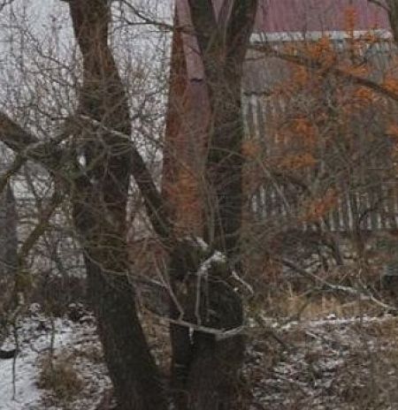 Свыше 23 тыс. кв. м земель в г. о. Пушкинский вернули государству