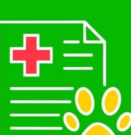 Как зарегистрировать питомца онлайн в приложении Добродел