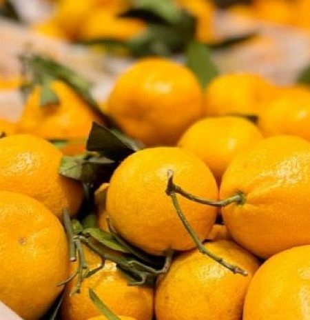 Минсельхозпрод: Подмосковье обеспечено мандаринами к Новому году