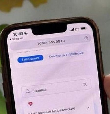 Почти 600 тыс. справок заказали жители Подмосковья онлайн в 2025 году