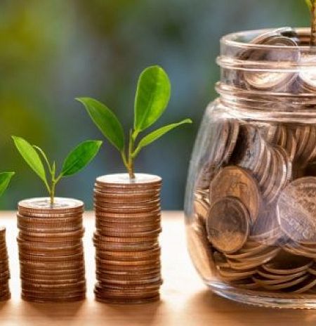 ТОП-5 комнатных растений, привлекающих деньги и удачу